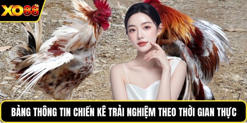 Bảng thông tin chiến kê trải nghiệm theo thời gian thực