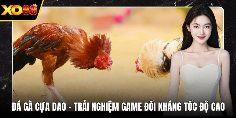 Đá Gà Cựa Dao – Trải Nghiệm Game Đối Kháng Tốc Độ Cao