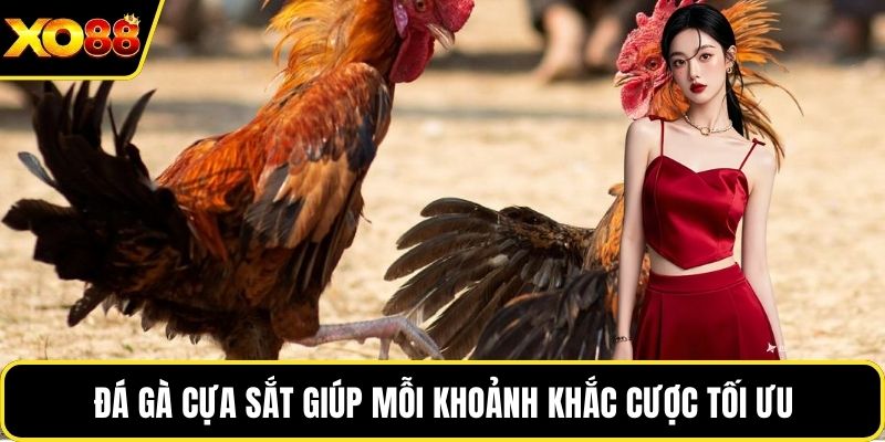 Đá gà cựa sắt giúp mỗi khoảnh khắc cược tối ưu