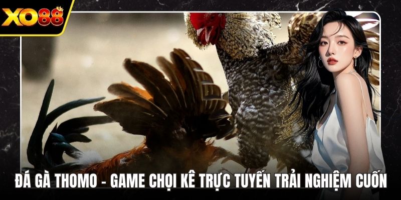 Đá Gà Thomo – Game Chọi Kê Trực Tuyến Trải Nghiệm Cực Cuốn
