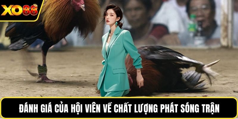 Đánh giá của hội viên về chất lượng phát sóng trận