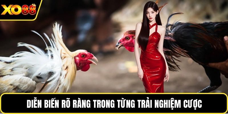 Diễn biến rõ ràng trong từng trải nghiệm cược