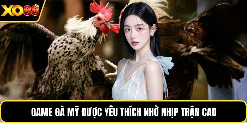 Game gà Mỹ được yêu thích nhờ nhịp trận cao