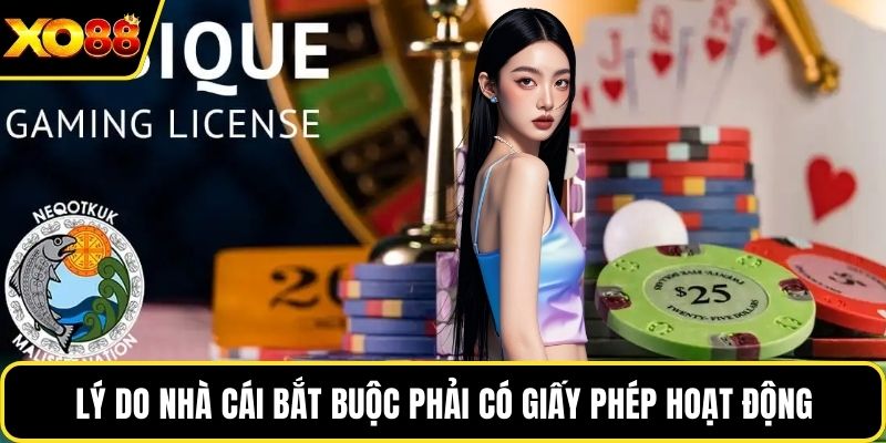 Lý do nhà cái bắt buộc phải có giấy phép hoạt động